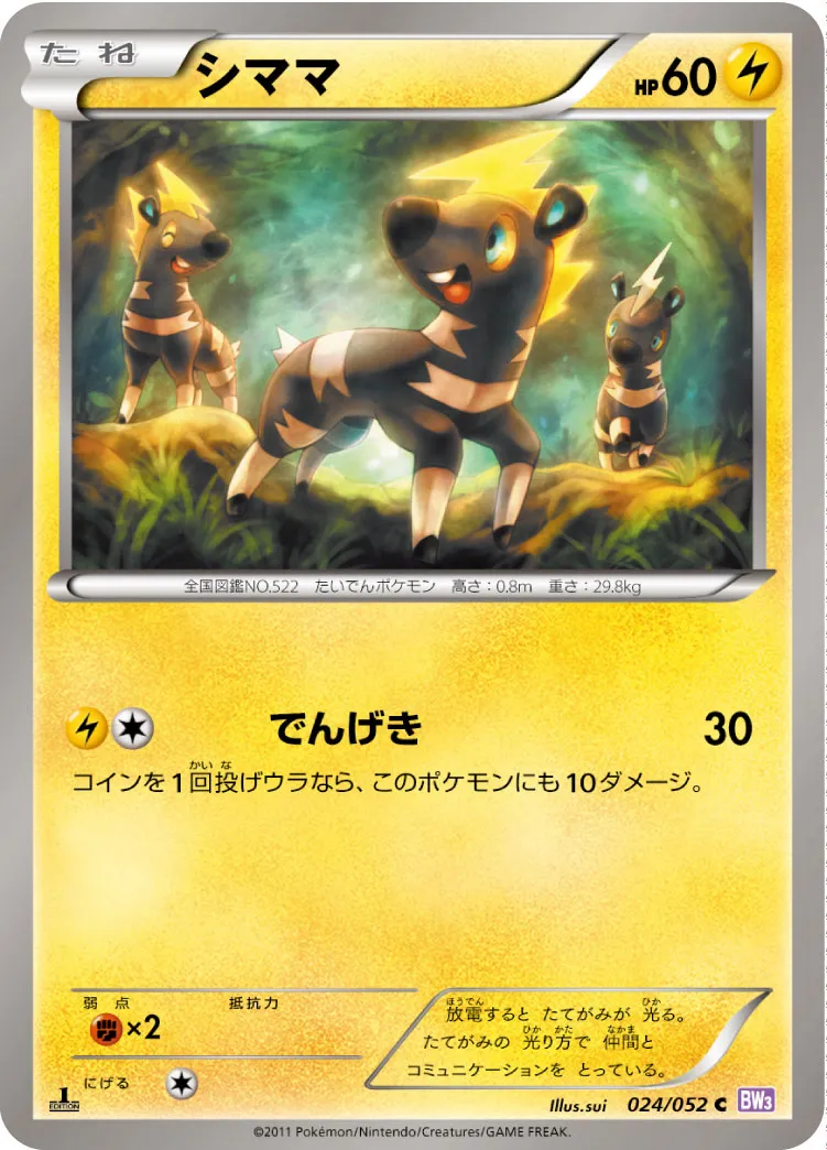 シママ