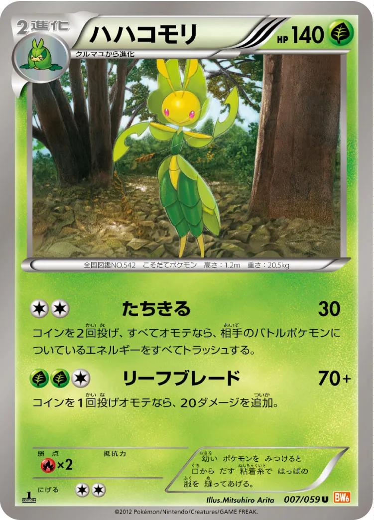 ハハコモリ