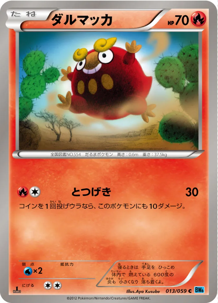ダルマッカ