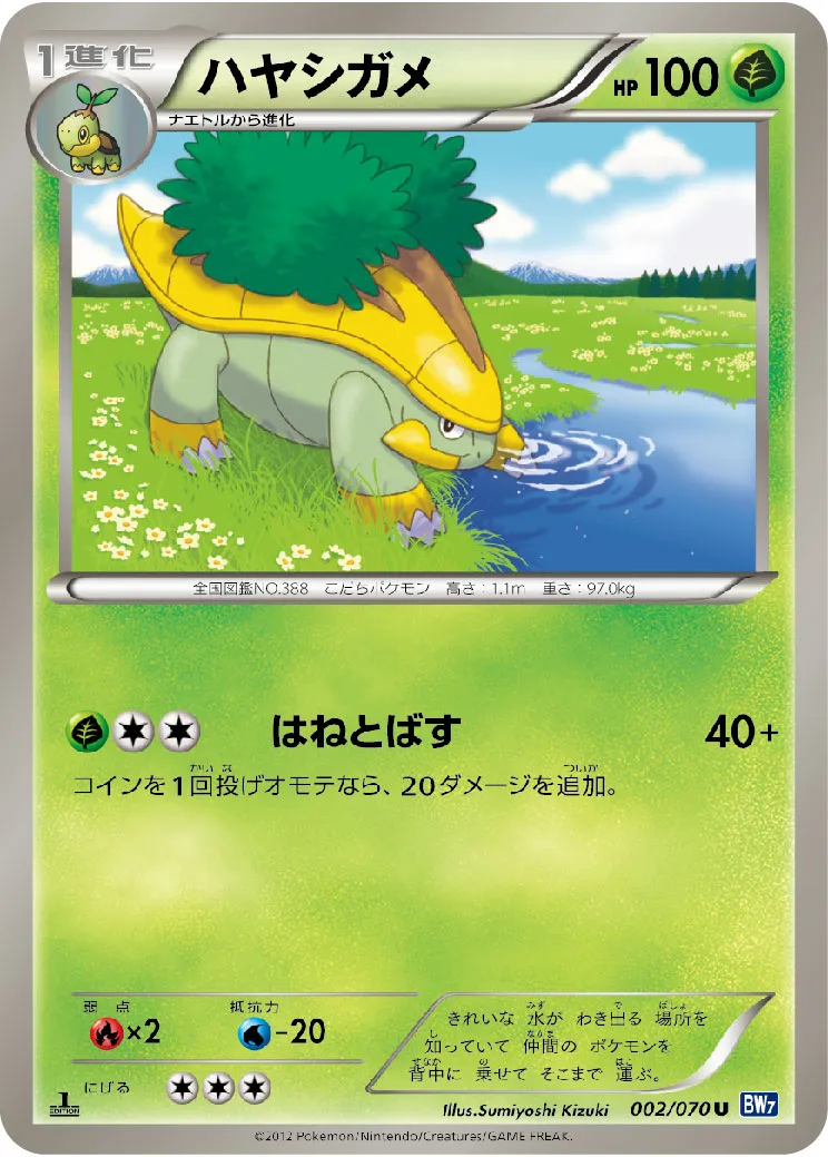 ハヤシガメ