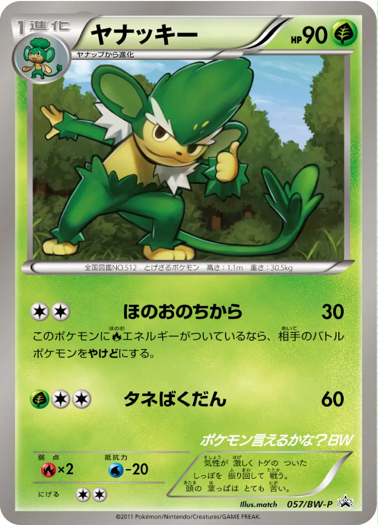 ヤナッキー
