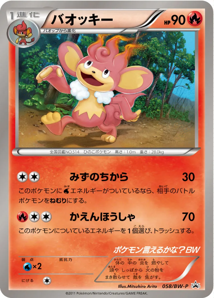バオッキー