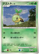 ナエトル