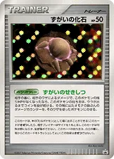 ずがいの化石