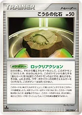 こうらの化石