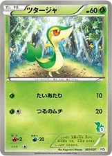 ツタージャ