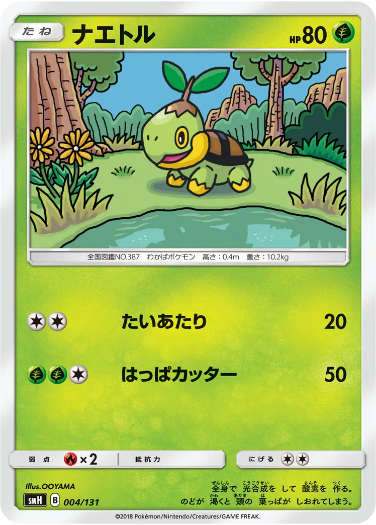 ナエトル