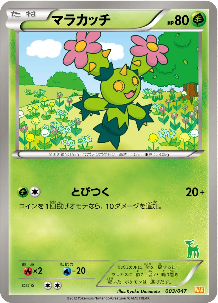 マラカッチ
