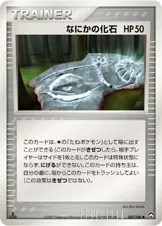 なにかの化石