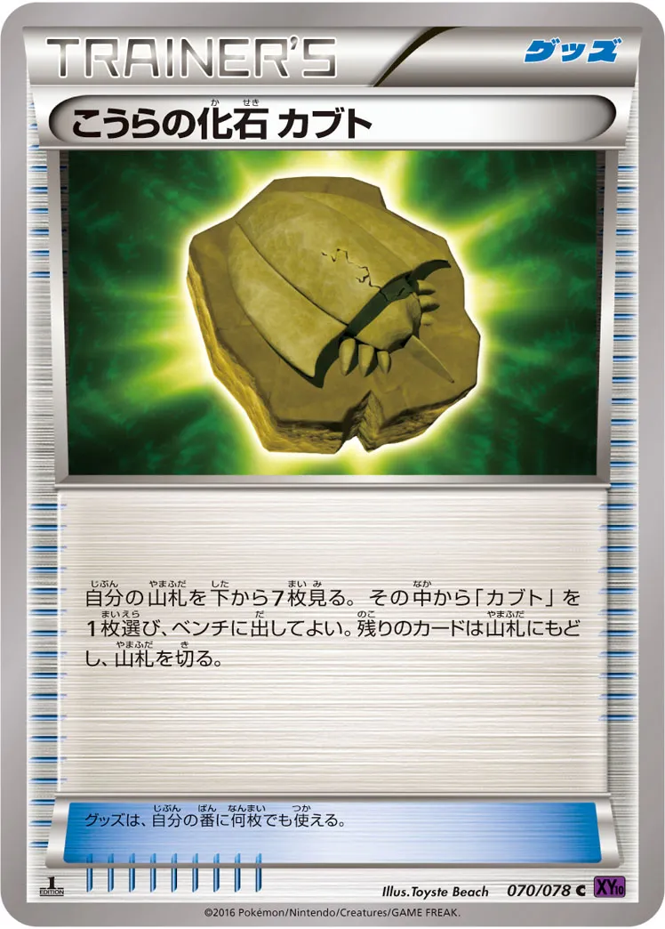 こうらの化石 カブト