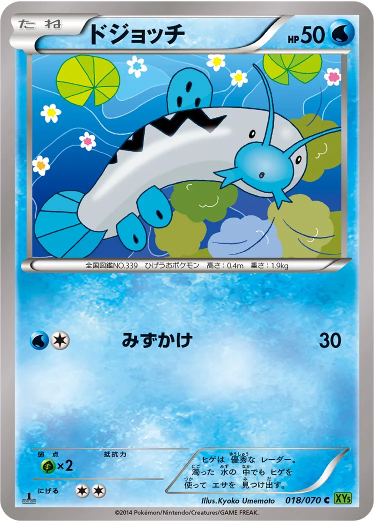 ドジョッチ