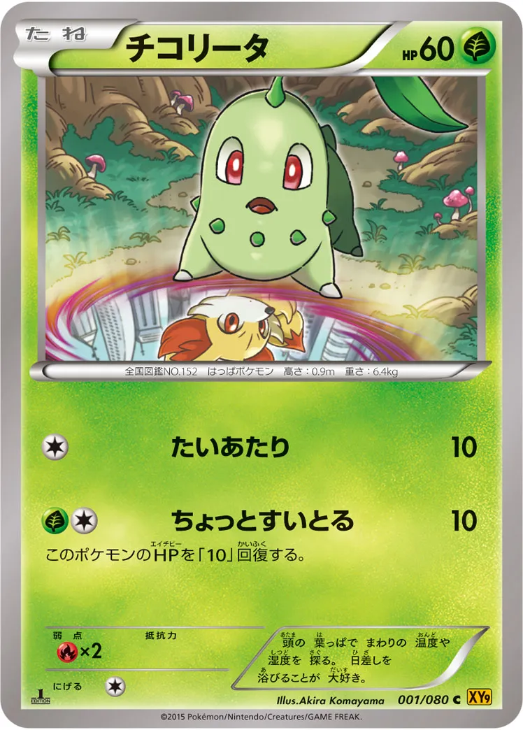 チコリータ