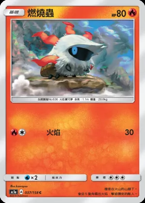 燃燒蟲