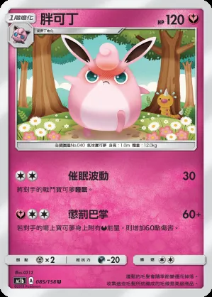 胖可丁