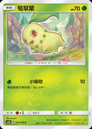 菊草葉