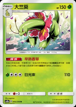 大竺葵