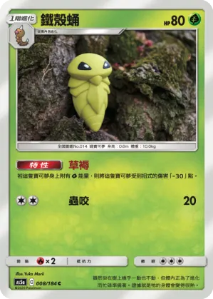 鐵殼蛹