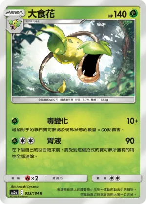 大食花
