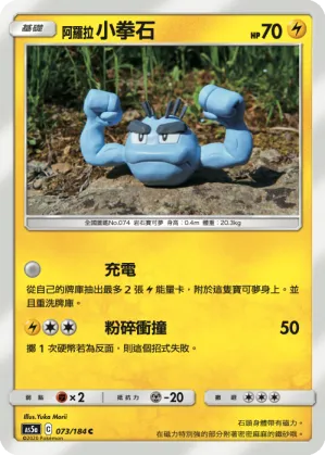 阿羅拉 小拳石