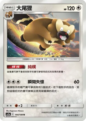大尾狸