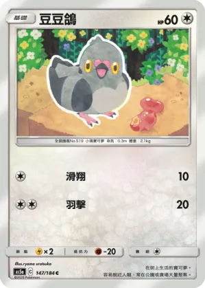 豆豆鴿