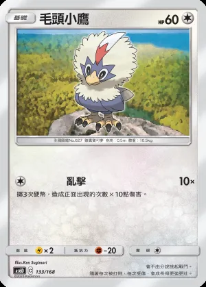 毛頭小鷹