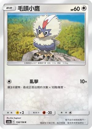 毛頭小鷹