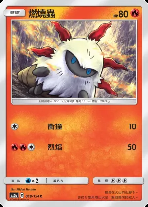 燃燒蟲