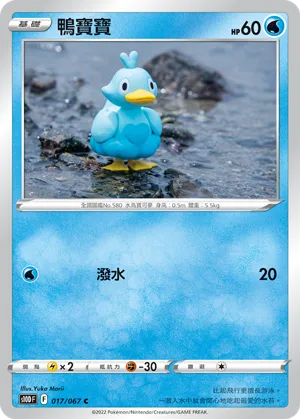 鴨寶寶