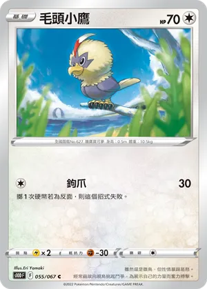 毛頭小鷹