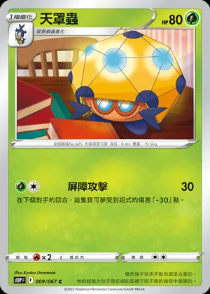 天罩蟲