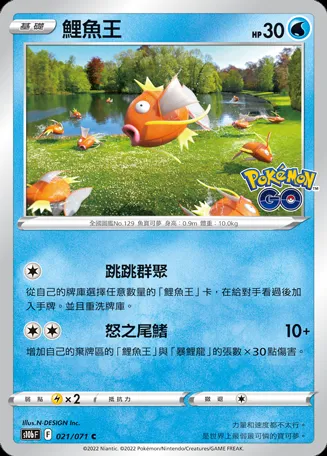 鯉魚王