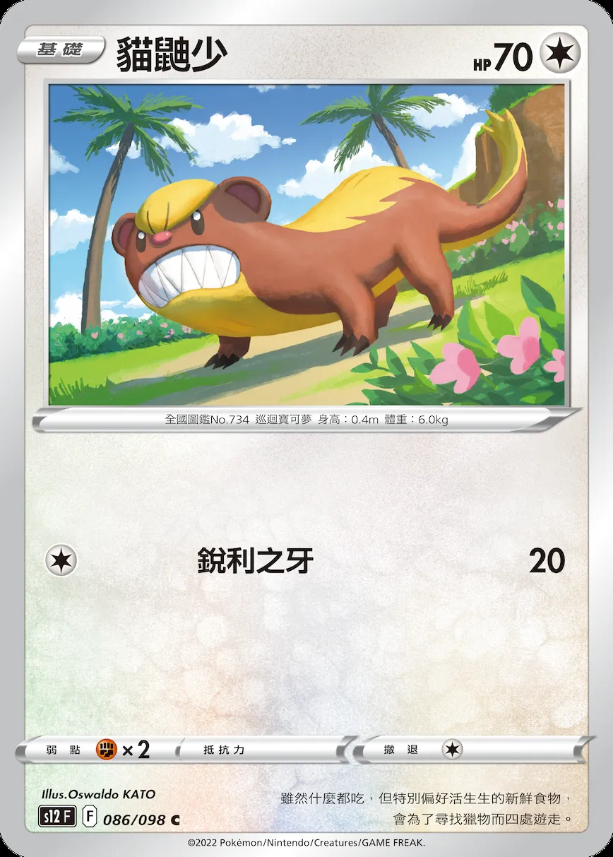 貓鼬少
