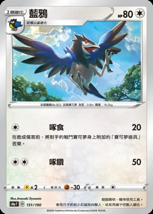 藍鴉