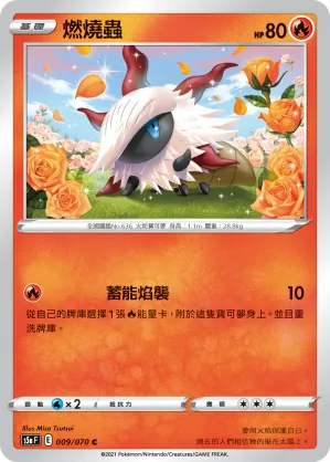 燃燒蟲