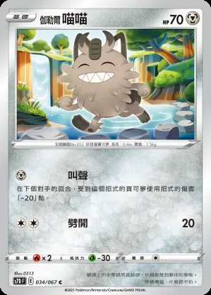 伽勒爾 喵喵