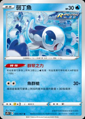 弱丁魚