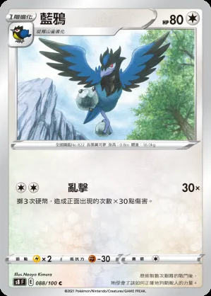 藍鴉