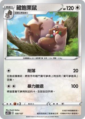 藏飽栗鼠