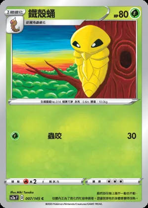 鐵殼蛹