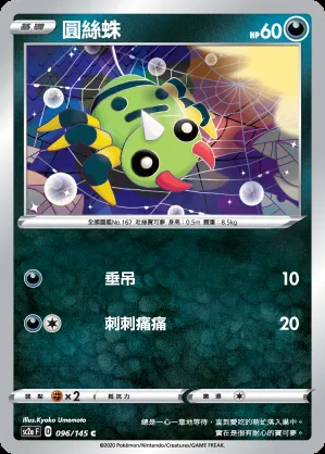 圓絲蛛