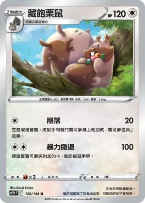 藏飽栗鼠
