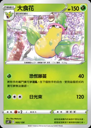 大食花