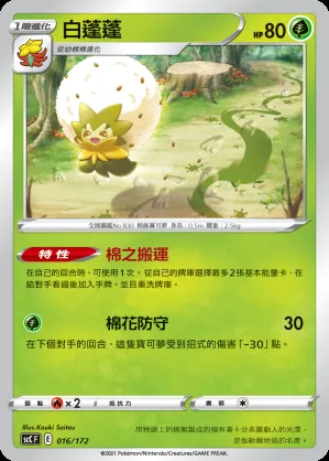 白蓬蓬