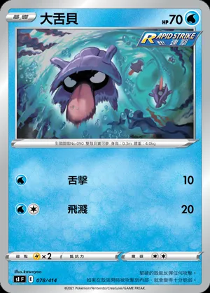 大舌貝
