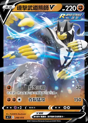 連擊武道熊師V