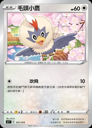 毛頭小鷹