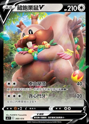 藏飽栗鼠V