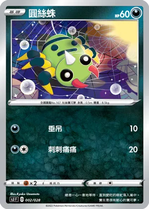 圓絲蛛