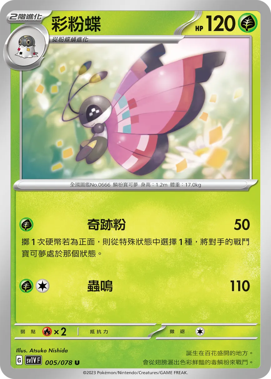 彩粉蝶
